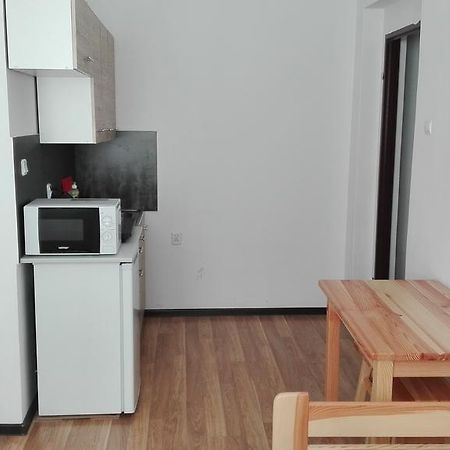 Pokoje Typu Studio Sosnowiec Bagian luar foto
