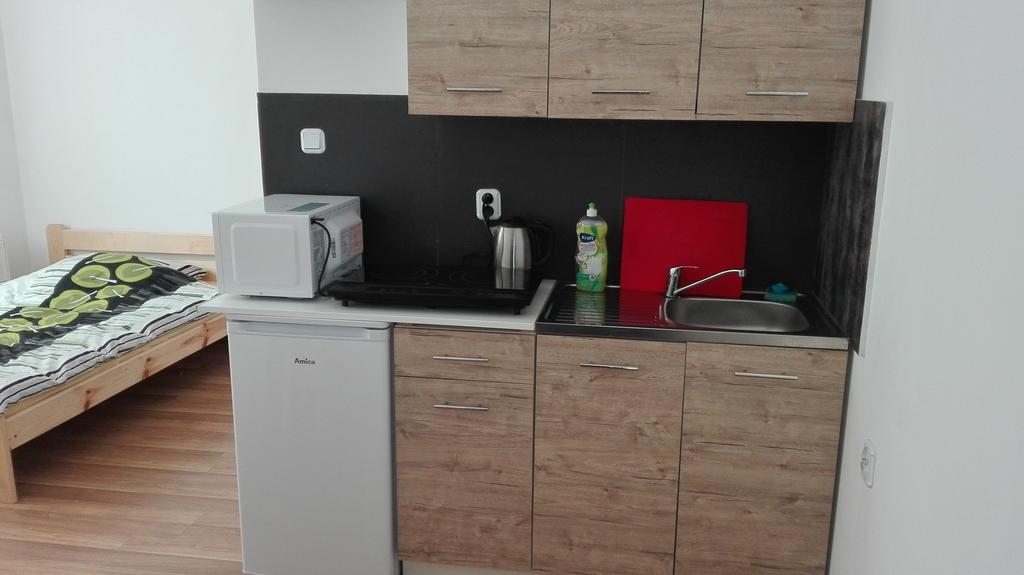 Pokoje Typu Studio Sosnowiec Bagian luar foto