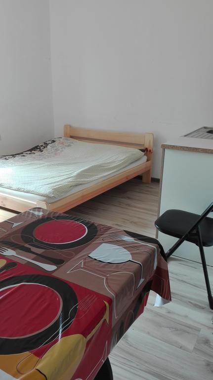 Pokoje Typu Studio Sosnowiec Bagian luar foto