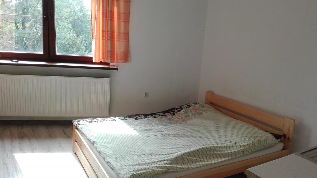 Pokoje Typu Studio Sosnowiec Bagian luar foto